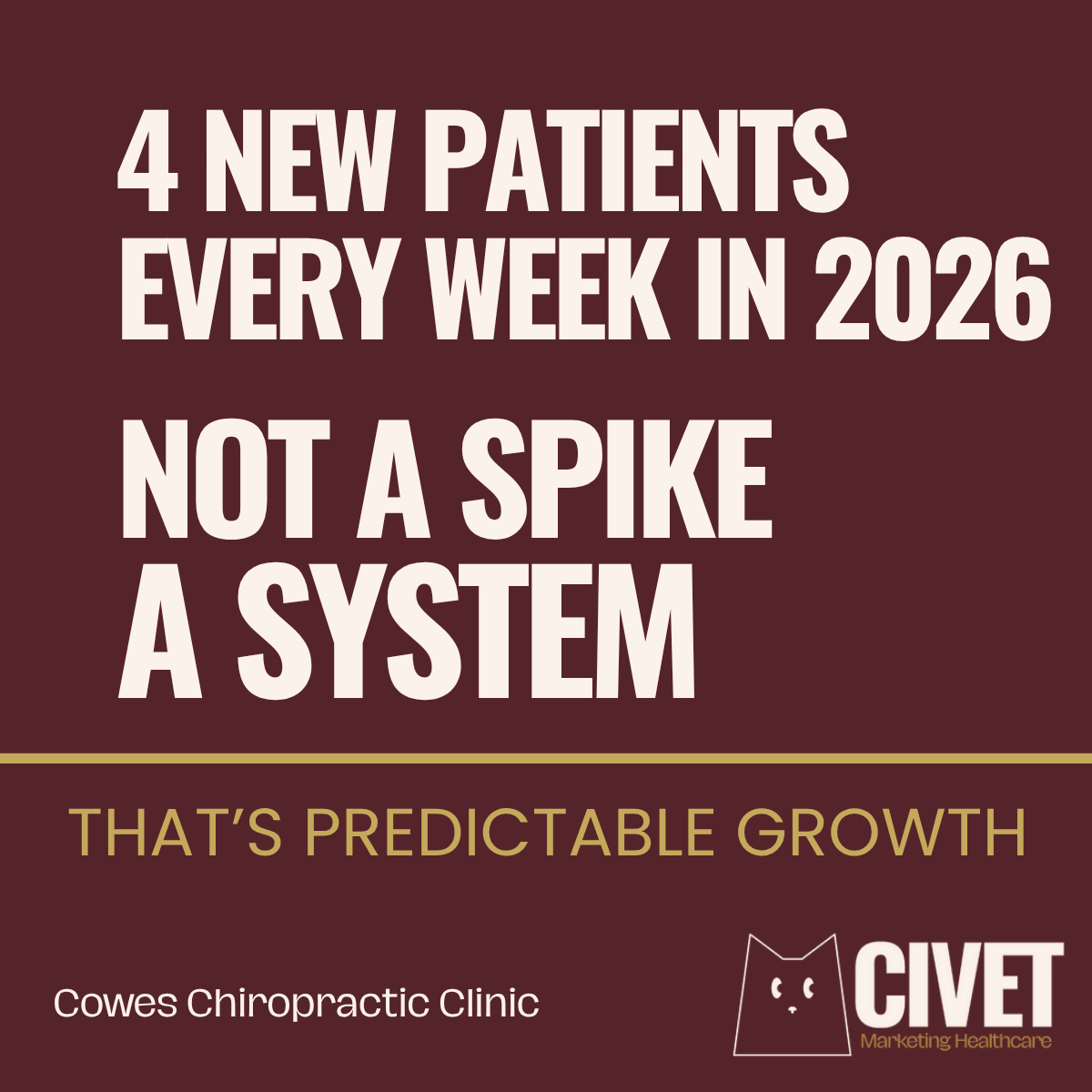 Cowes Chiropractic Clinic result: four new patients every week in 2026