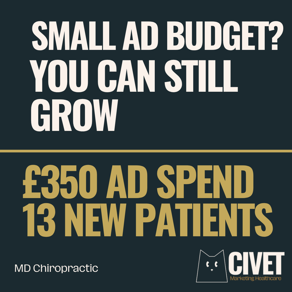 MD Chiropractic result: a £350 advertising budget generated 13 new patients